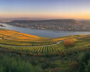 Rheingau